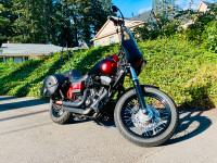 2009 Harley Davidson Dyna Street Bob