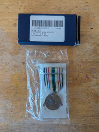 US south East Asia service medal