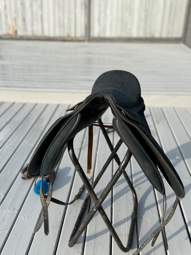 dressage saddle in Other in Vanderhoof - Image 2