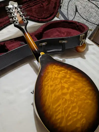Barely used Mandolin in mint condition, with hard cover case.
