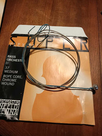 upright bass strings used
