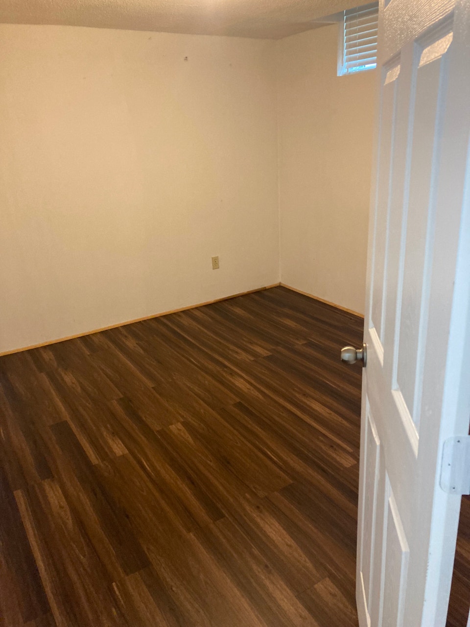 Spacious Basement Apartment for Rent 2