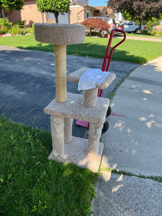 Cat Tree Free Stuff Hamilton Kijiji