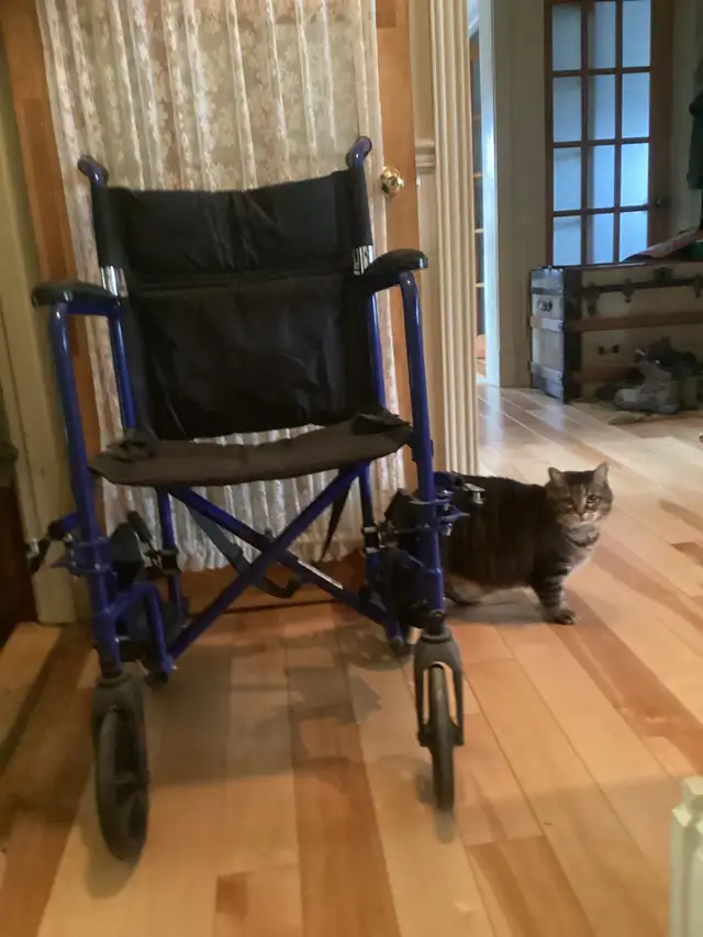 Transport Chair64520006390787120