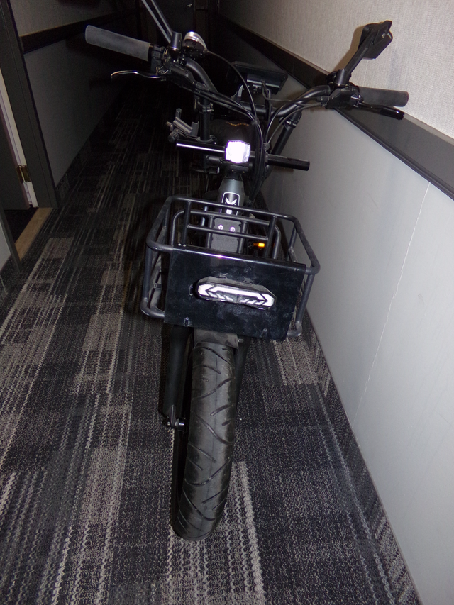 AWARD WINNING FUCARE "GEMINI X" 20 X 4" FAT TIRE POWERFUL EBIKE! in eBike in Kingston - Image 9