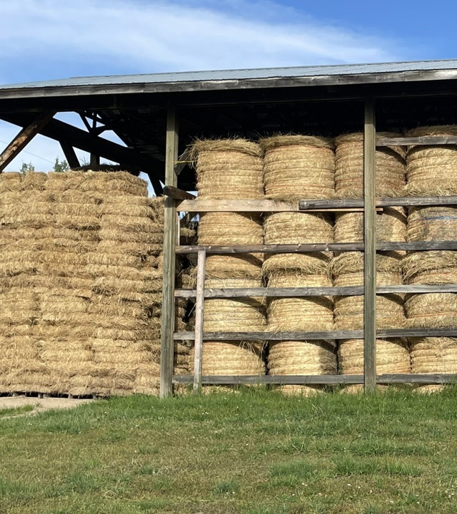Hay for sale Accessories Prince Kijiji