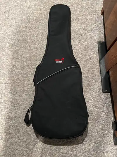 Soft shell padded guitar case, View more
