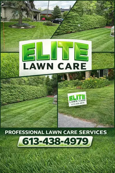 Elite Lawn Care – Let Us Do the Hard Work! Tired of spending your weekends cutting grass and cleanin...