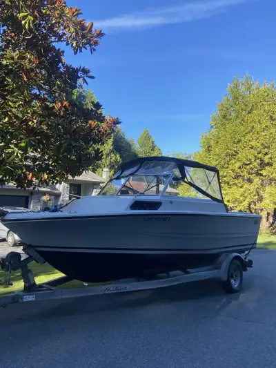 1990 double eagle 186 2007 evinrude Etec saltwater series 700ish hr Solid hull solid transom Full ca...