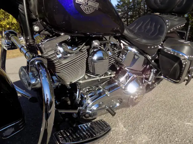 Harley Davidson Heritage Softail 2001 in Street, Cruisers & Choppers in Ottawa - Image 5