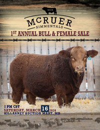 McRuer Simmentals 1st Annual Bull and Female Sale