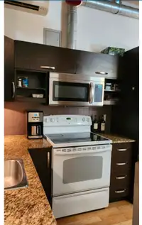 Downtown 31/2 near metro McGill available from July 1st