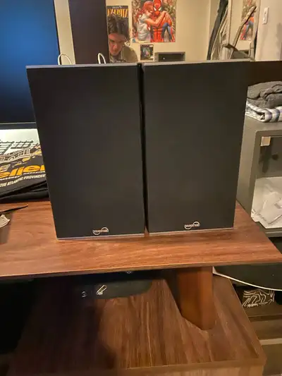 Two SoundStage Stage 3D2 Bookshelf speakers. The pair retails for $350 new. These are in completely...