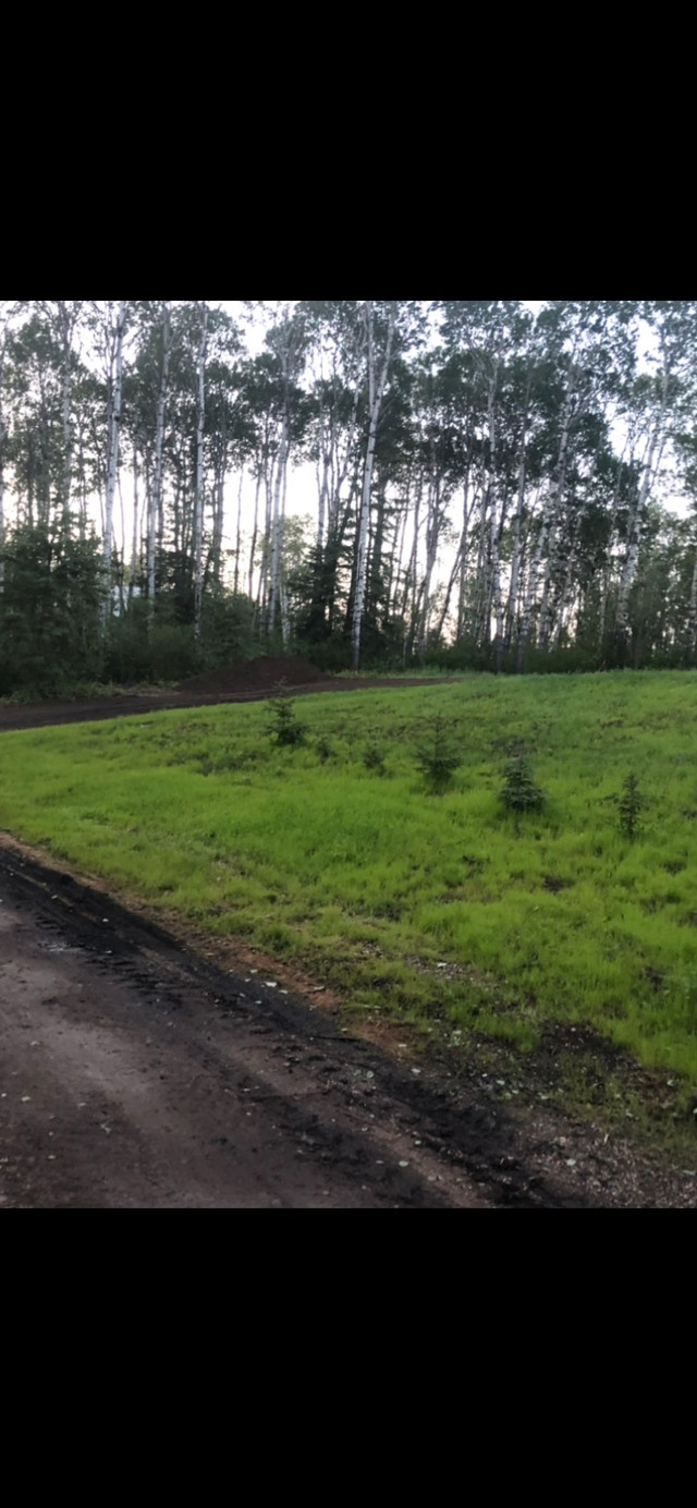 Hudson Bay, SK, Cabin, at Little Swan River, titled lot. Land for