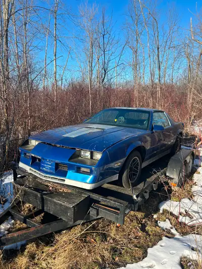 1983 Chevy Camaro z28 T-top set up for drag racing. Th350 with 3000 stall, roll bar with door bars,...