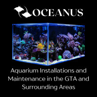 Aquarium Cleaning / Installations
