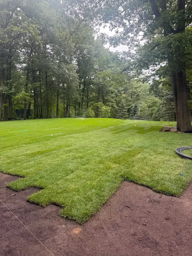 Sod install