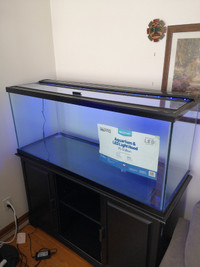 As new 75 Gallon aquarium and used stand