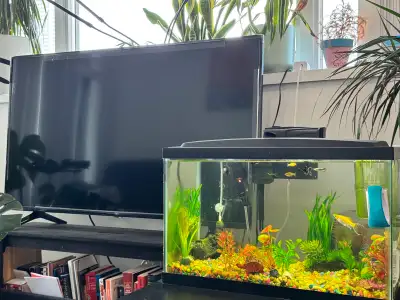 Located in the heart of downtown Toronto, this bright and modern 1-bedroom unit offers the perfect b...