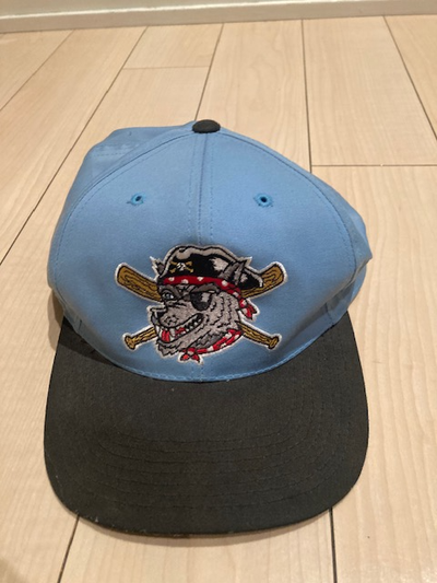 I am selling a VINTAGE Erie Seawolves Snapback Minor League baseball hat for $30. Cap is in excellen...