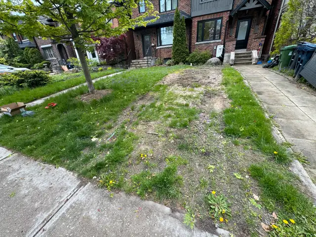 Sod Installation – Upgrade Your Lawn Today!63008305233153124