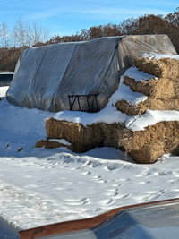 Small square straw bales 