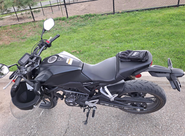 2024 Honda CB300R - The Best Beginner Motorcycle in Street, Cruisers & Choppers in Mississauga / Peel Region - Image 4