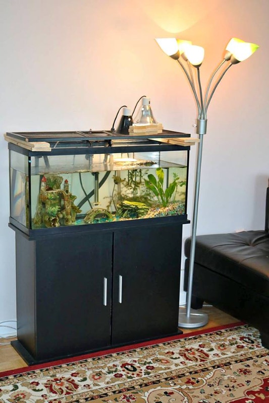 Full set aquarium with tank, filters and heater Hobbies