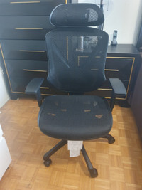 Desk Chair Adjustable Lumbar Support