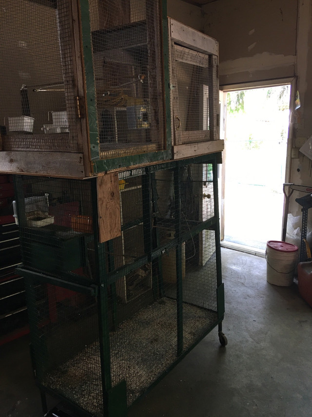 Free bird cage Free Stuff Hamilton Kijiji