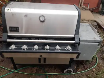 Weber Barbeque, View more