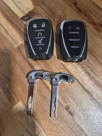Selling two Chevy Equinox key fobs. Please note, as you can see in the photos, the keys are previous...