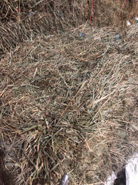 Second cut grass hay