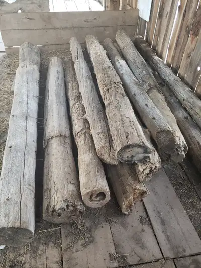 used cedar post, View more