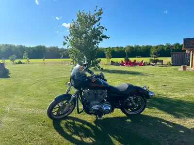 Clean Harley Davidson