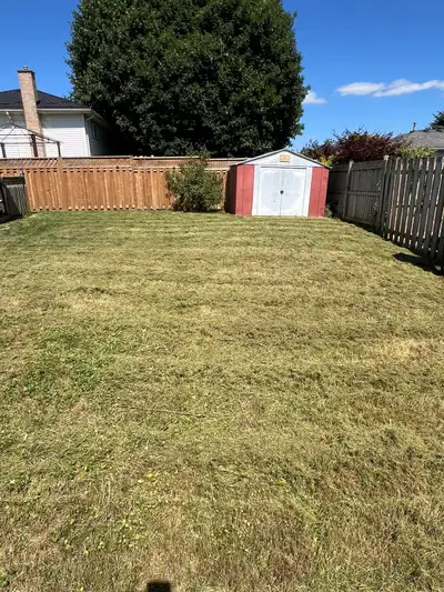 We offer: ✔️ Grass Cutting ✔️ Weed Removal & Control ✔️ Tree & Shrub Removal ✔️ Edging & Yard Clean-...