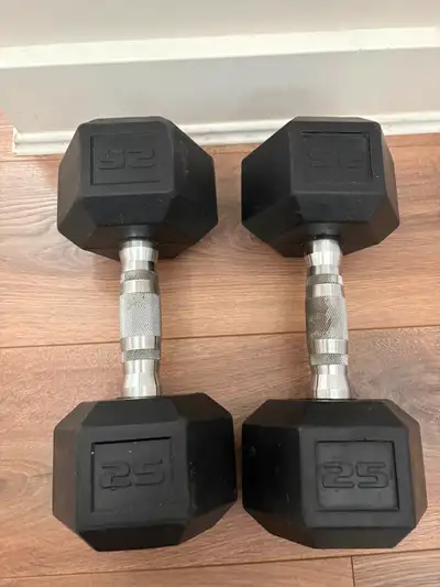 Two Dumbbells (25lbs each)