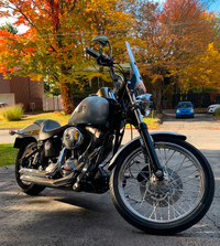Harley Davidson softail