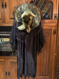 Halloween Fancy Witch Costume 