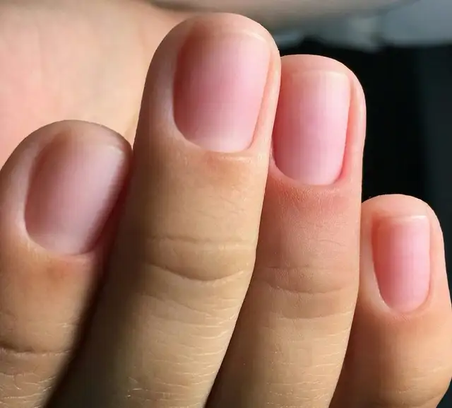 nails done64612063493891120