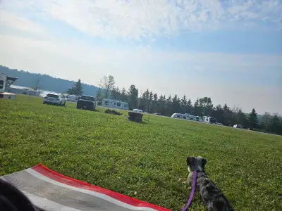Looking for 2 bedroom apartment with utility included and pet friendly in or around lindsay and Oakw...