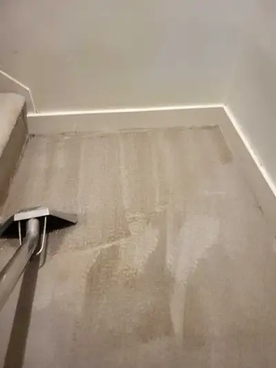 carpet Cleaning position , View more