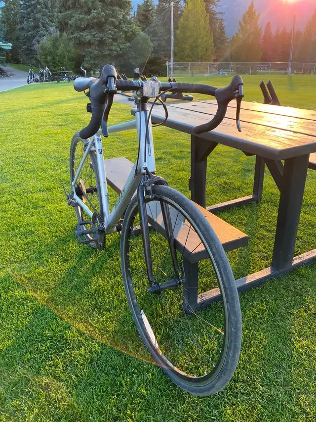 Road bike Triban RC100 – Size L (fits approx. 170 cm+)