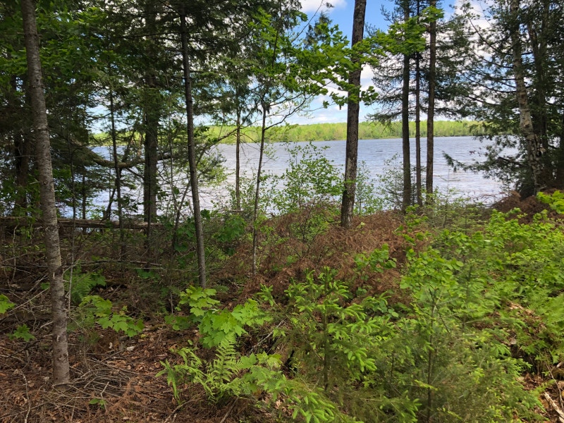 Terrain bord de l’eau Lac des Îles à StAimédulacdesîles Autre