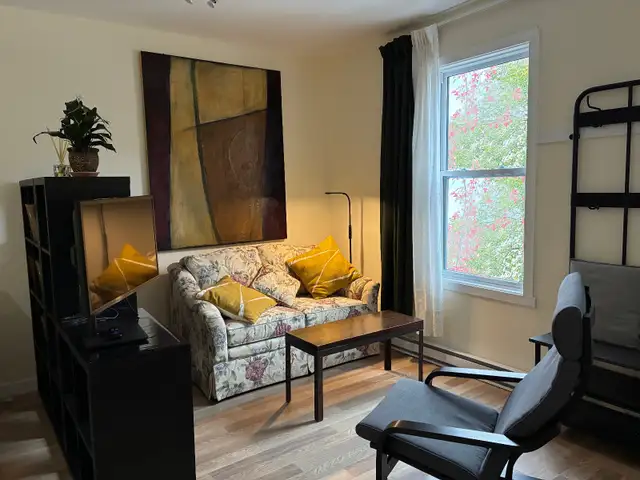 Studio location Rosemont Petite Patrie - 3 à 12 mois - for rent