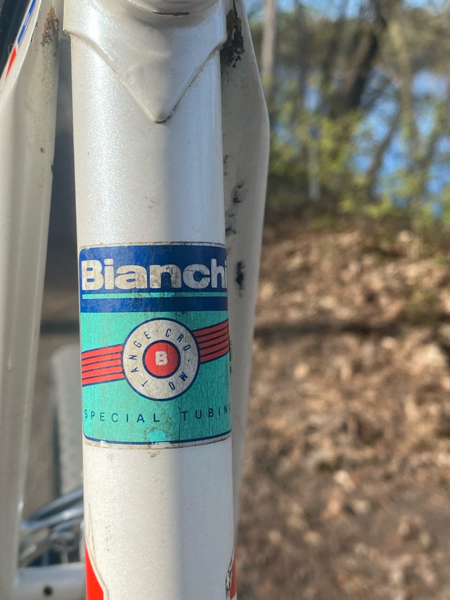Vintage Bianchi Road Bike in Road in Ottawa - Image 2