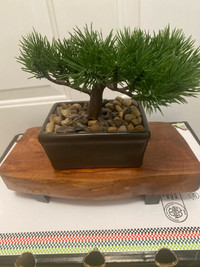 Bonsai/Plant Bowls and Stands