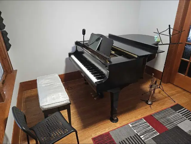 Music Lessons in Central London in Music Lessons in London - Image 4