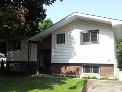 Lower level bright Apartment for rent in Lindsay, ON
