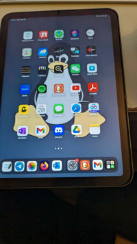 iPad mini 6 256g